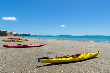 Kayaks parking along the Long Bay Beach Park in Auckland,New Zealand.