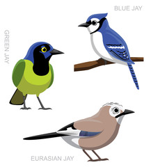 Bird Jay Set Cartoon Vector Illustration