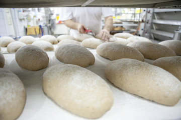 Brotleib in der Backstube