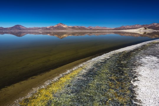 Salt Lake Salar de Surire, Monumento Natural, Reserva nacional Las Vicunas, Putre, Parinacota Province, Region de Arica y Parinacota, Chile, South America