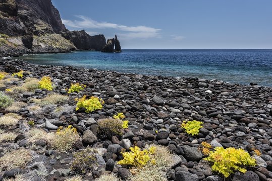 Black stones on the beach Playa de los Almorranas with yellow plants, behind Rock formation Roque de la Bonanza, bay Las Playas, El Hierro, Canary Islands, Spain, Europe