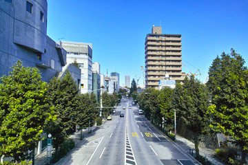 Obraz premium 恵比寿の渋谷橋交差点の横断歩道上から見た広尾方面の景観 