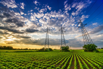 Power lines in the green field in sunset