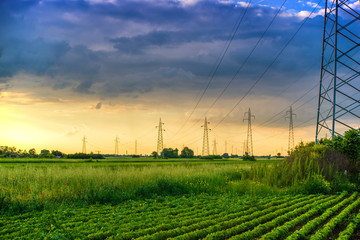 Power lines in the green field in sunset