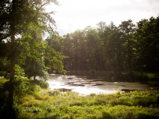 Obraz premium Sunny happy summer day or evening concept.Still the lake is resting, fishing evening summer evening