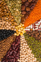set of legumes isolated
