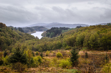 Forest and lake. Scottish landscape. Scotland, Great Britain