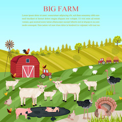 Goats, pigs and chicken animals at the farm Vector. summer green background