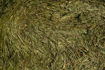 Straw bales on a field in the foreground.  Harvest of hay. Clouds in the sky. Agricultural farm. Hills with cultivated fields and hay bales