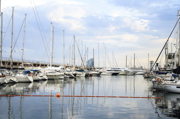 Yachts moored