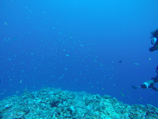 undersea view japan miyako