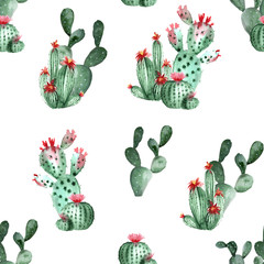 Watercolor picture of the botanical blooming cactus. Isolated on white background. Seamless pattern.