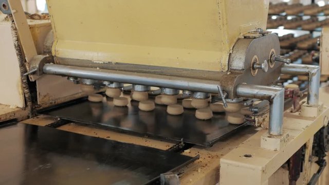 Automatic bakery production line with sweet cookies on conveyor belt equipment machinery in confectionary factory workshop, industrial food production