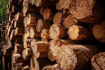 Wood texture background for interior, construction concept design.