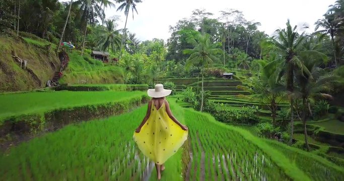 Beautiful young female in yellow dress and straw hat. Girl walk at typical Asian hillside with rice farming. Mountain shape green cascade rice field paddies. Ubud. Bali. Indonesia. Aerial drone view.