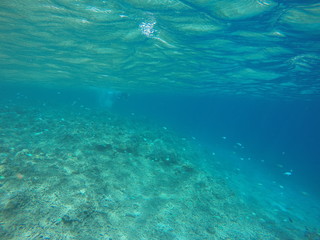 undersea view japan zamami