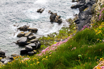 Dramatic landscape of Southern Irish Coastline in late spring