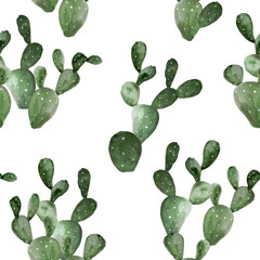 Watercolor picture of the cactus. Opuntia. Isolated on white background.