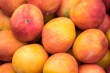 Fototapeta na wymiar Backround of new harvest mango for sale at city market