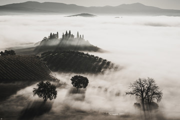 Beautiful foggy sunrise in Tuscany, Italy with vineyard and trees. Natural misty background in black and white