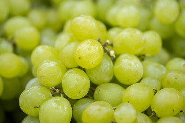 Plakat Macro shot of new harvest green-yellow grapes for sale at local farmers market