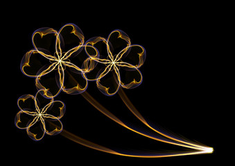 abstract flower colorful rainbow line floral  background