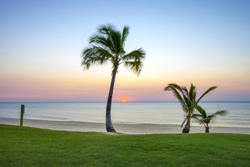 A vibrant sunset looking through the palm trees at Moreton Island in Queensland Australia