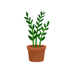 Green leafy home decorative plant for interior design vector Illustration on a white background