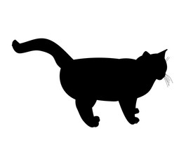 vector, isolated black silhouette cat