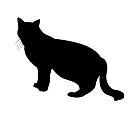 isolated black silhouette cat