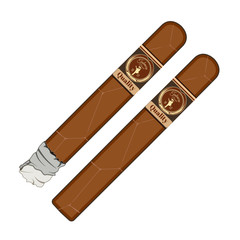 Vector illustration of cuban cigars with labels