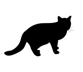 isolated silhouette cat