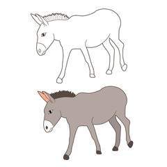 vector isolated donkey drawing, going,