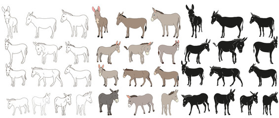 vector isolated donkey, mule, outline, collection of silhouettes