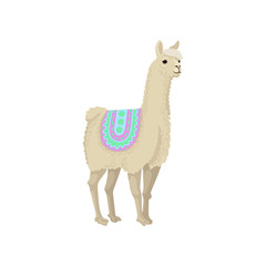 Graceful white llama alpaca animal in ornamented poncho vector Illustration on a white background