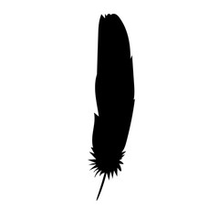 black silhouette bird feather, outline
