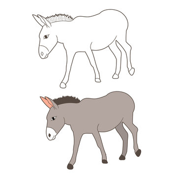 vector isolated donkey drawing, going, © Dzmitry