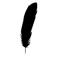  isolated silhouette of the feather, beautiful