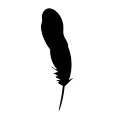 vector, isolated silhouette of bird feathers, one