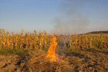 At sunset it burns in the field