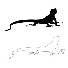 silhouette of a lizard on a white background