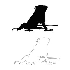 vector, isolated silhouette of a lizard on a white background