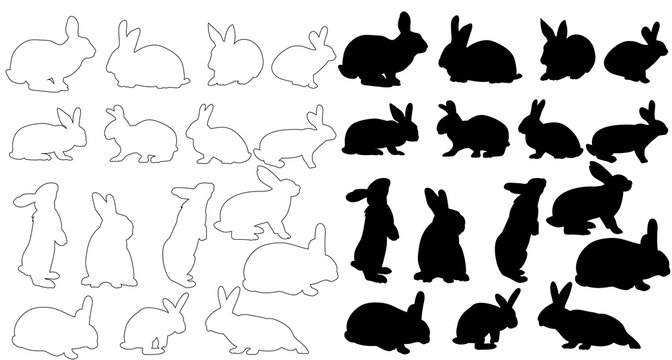  isolated big silhouette of a rabbit