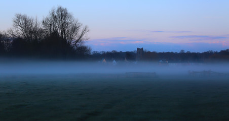 Fototapeta premium Misty Meadow