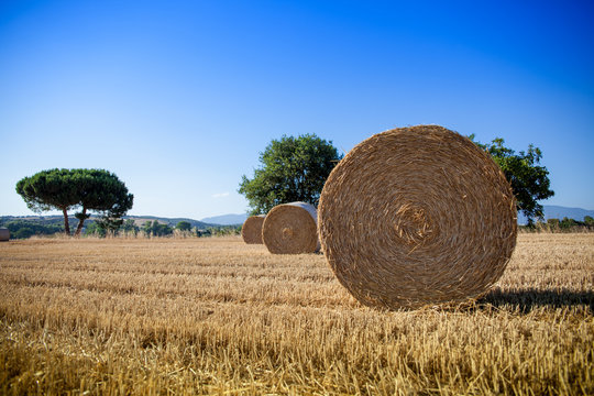 Balas de paja
