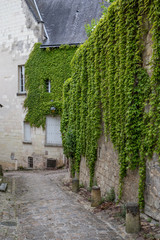 Fototapeta na wymiar Laneway in Chinon, a commune located in the Indre-et-Loire department in the Region Centre, France