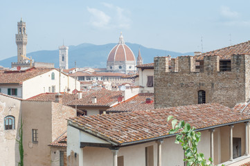 beautiful view of florence in a sunny day