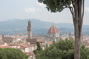 Naklejka premium beautiful detail of florence in a sunny day