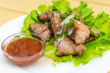 Shish kebab on a plate. Pieces of grilled meat.