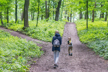 Naklejka na ściany i meble Two children walk along a forest path. The sister and the younger brother are going up the road in the forest.